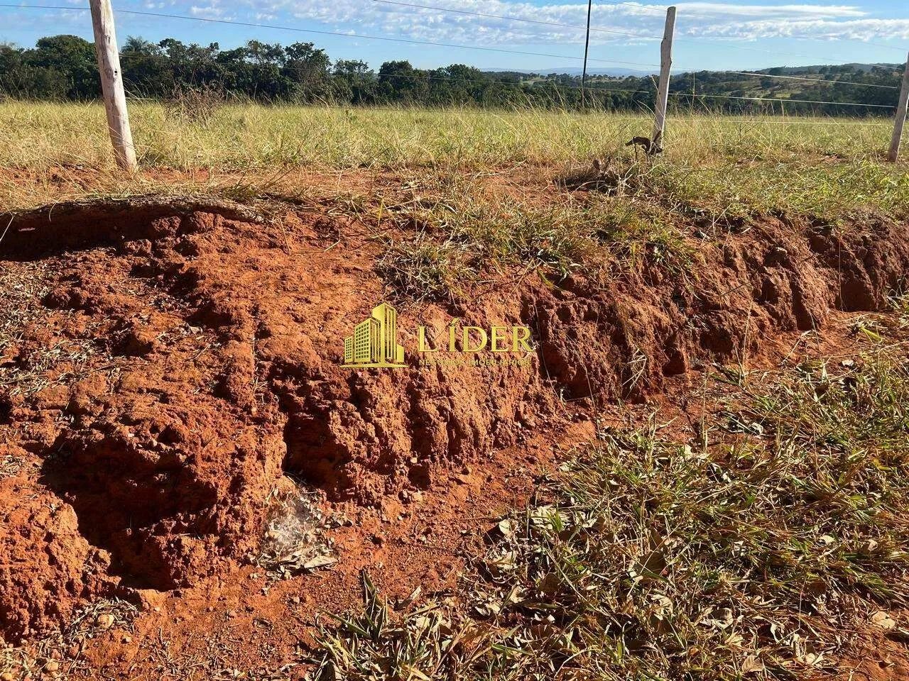 Fazenda à venda, AREA RURAL DE ARAGUARI - Araguari/MG - Foto 6
