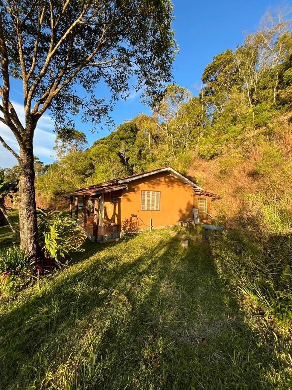 SÍTIO À VENDA - ALTO DO SERTÃO DO CANGUERI 