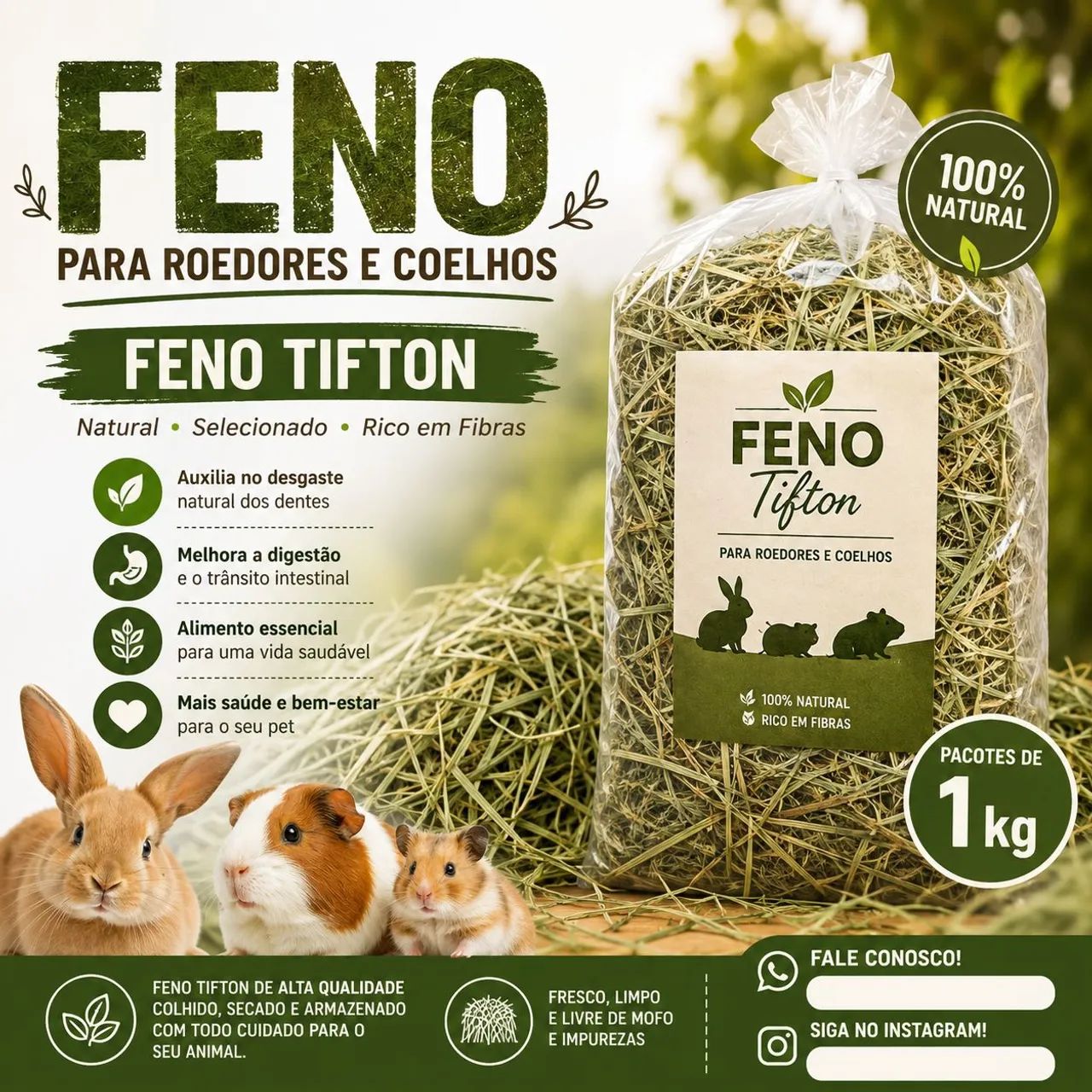 Feno tifton 1kg