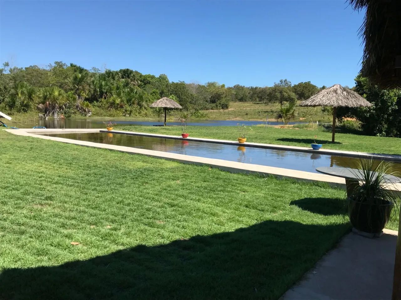 Fazenda 42 alqueires a 28km de Araguaína  - Foto 3