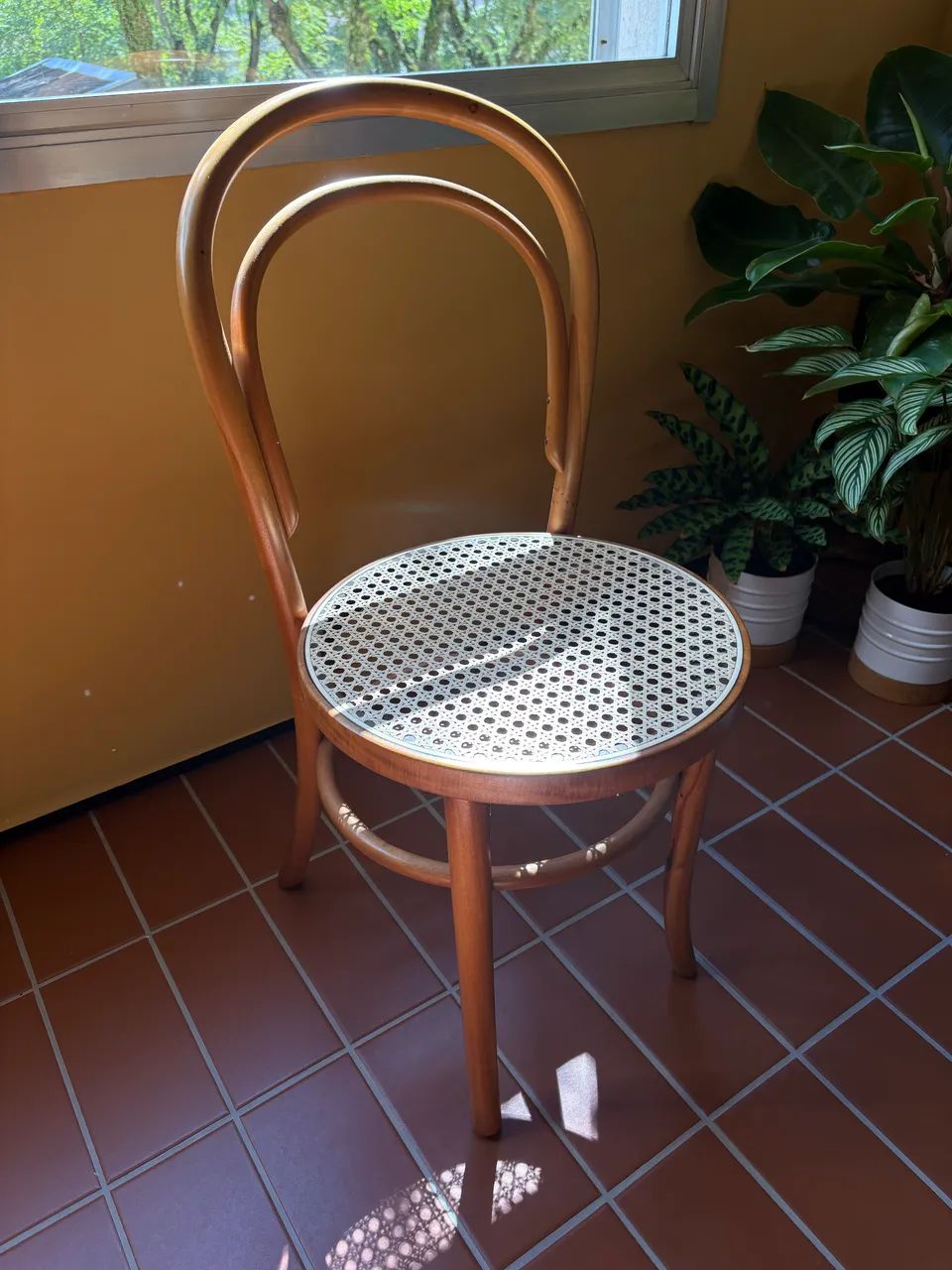Cadeira Thonet - Foto 3