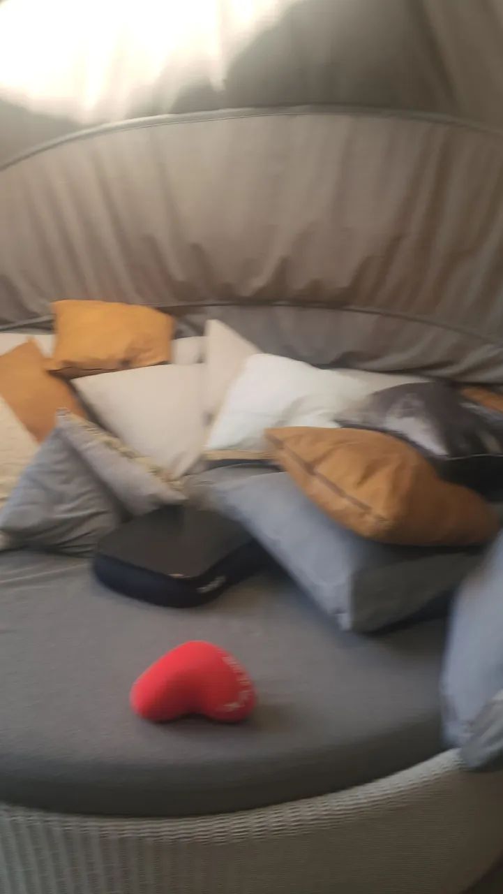 Cama de sol  - Foto 3