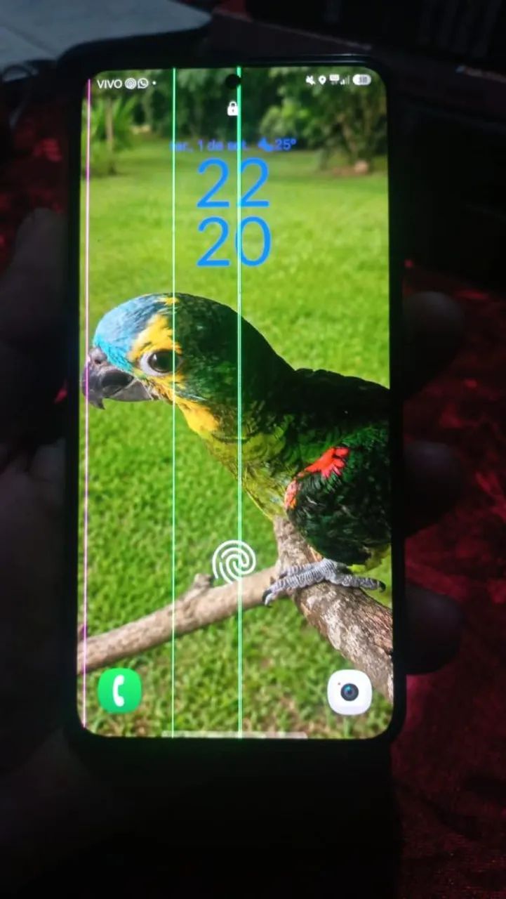 Celular 