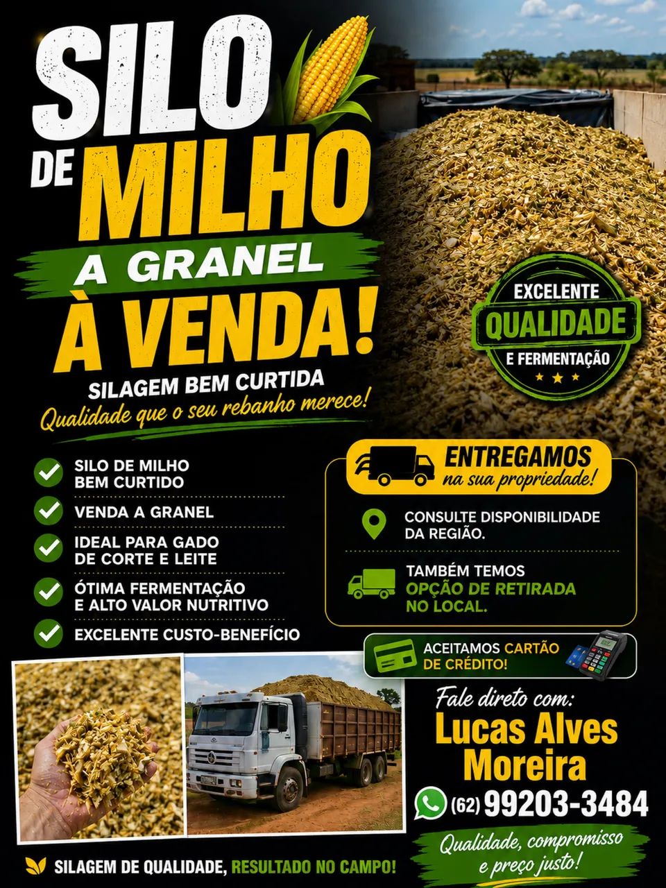Silagem de milho ensacada e a granel 