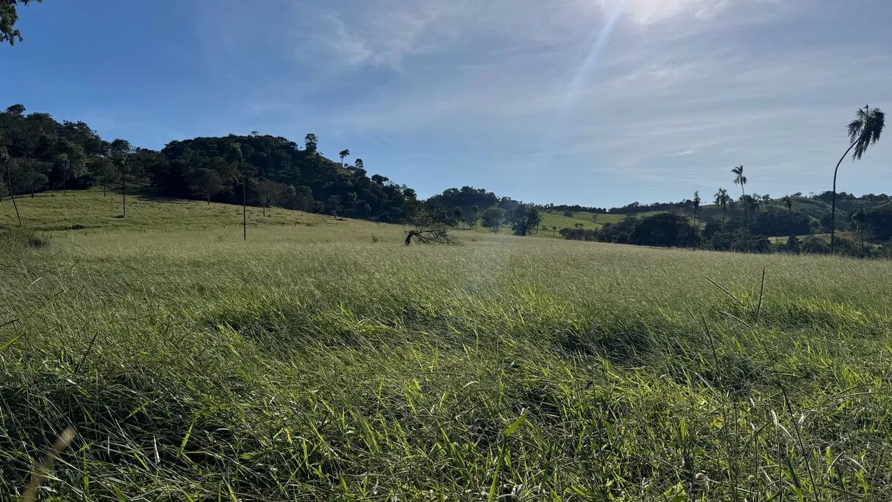 Chácara em Taquaral Go  - Foto 5