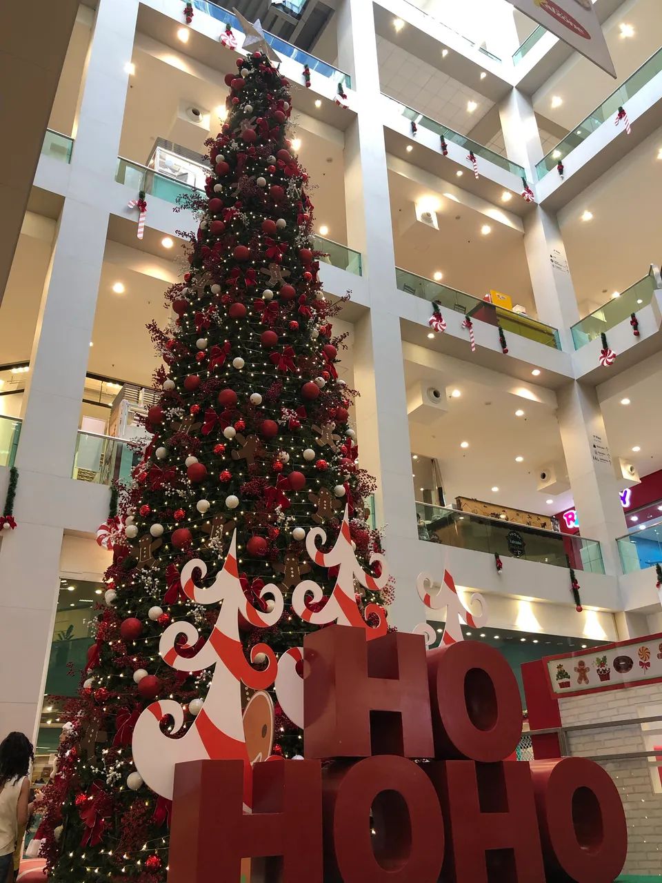 ÁRVORE DE NATAL - 8m de altura