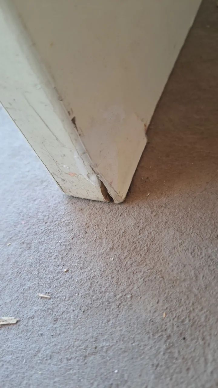 Cama de solteiro reforçada - Foto 5