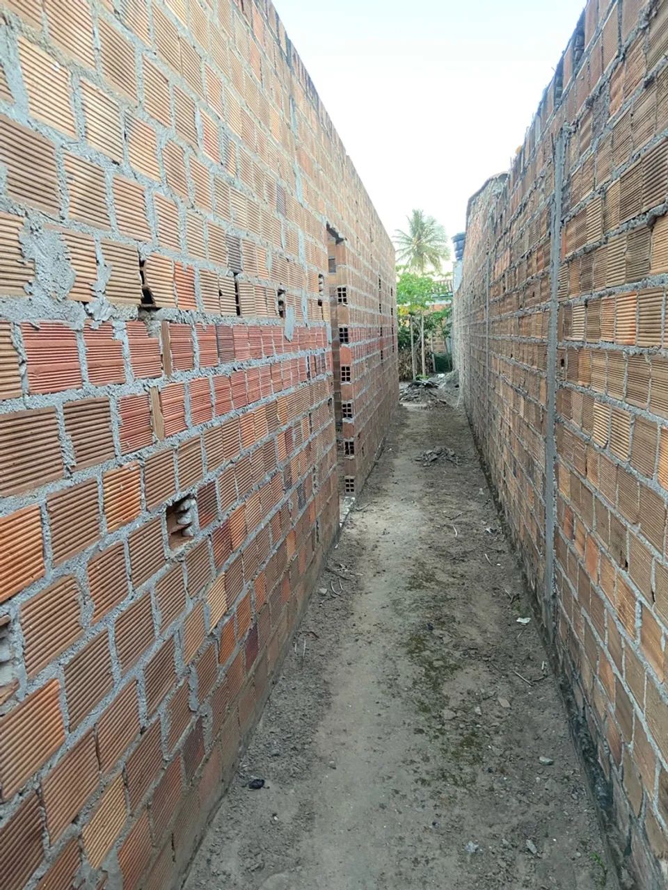 Vendo essa casa - Foto 3