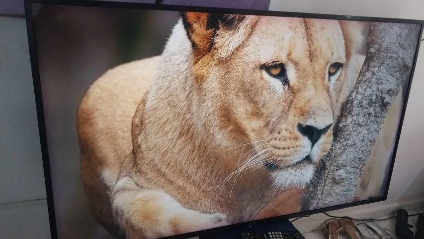 Tv Smart 50 Polegadas Philco Android Bordas infinita Impecavel Completa - Foto 5