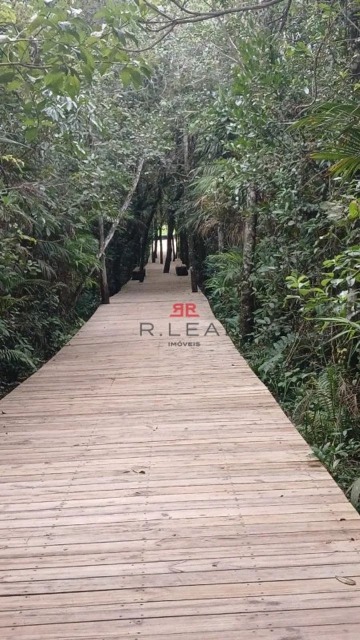 Terreno em Águas de Santa Bárbara - Foto 3