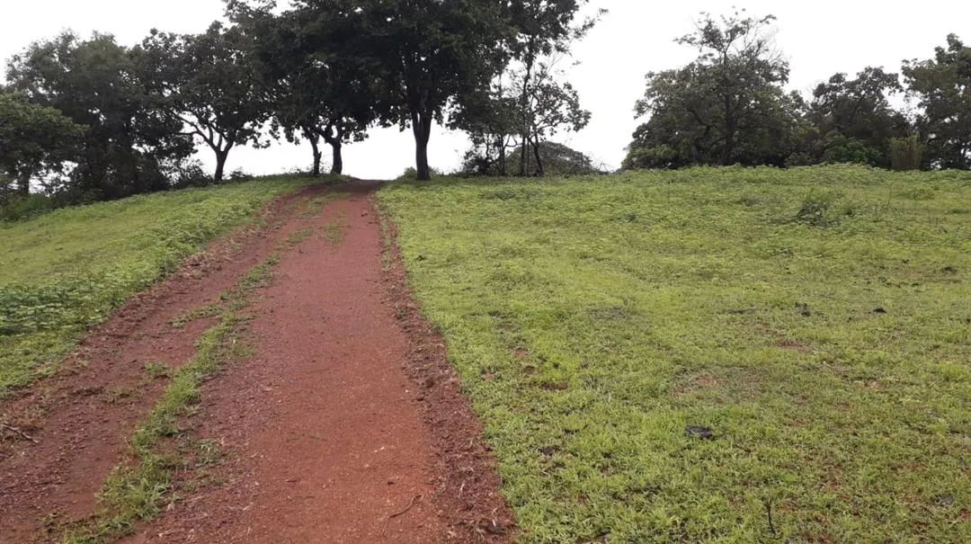 Fazenda - Chácara 4 quartos - Foto 3