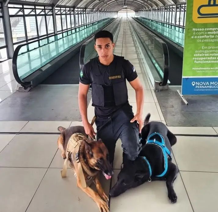 Adestrador  - Foto 2