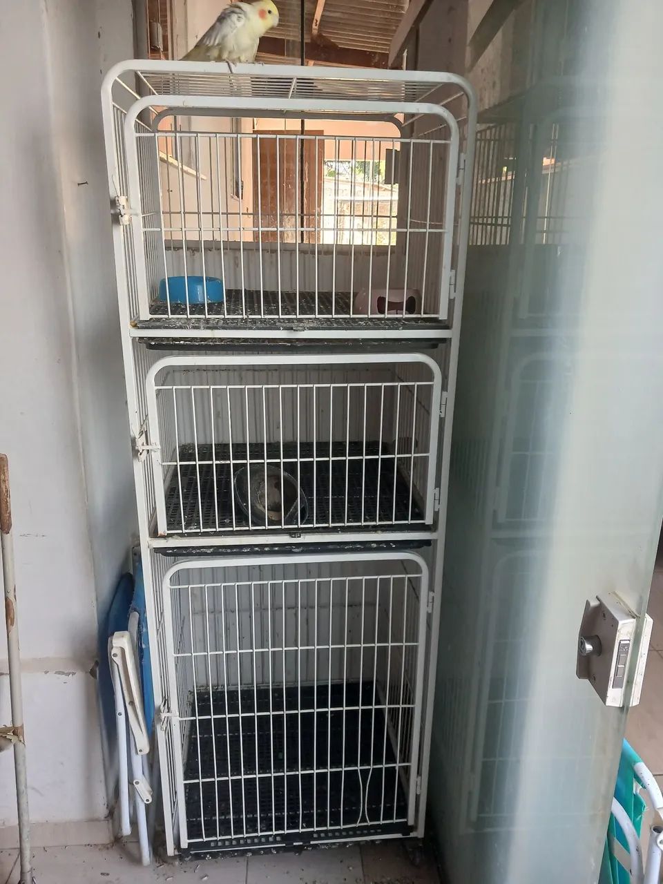 Vendo gaiola pet  - Foto 2