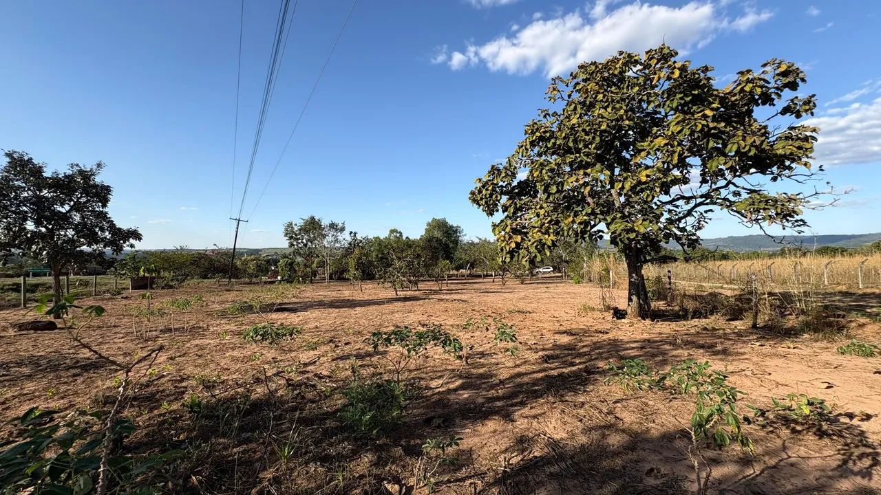 Vendo - Chácara Ligada ao asfalto  - Foto 3