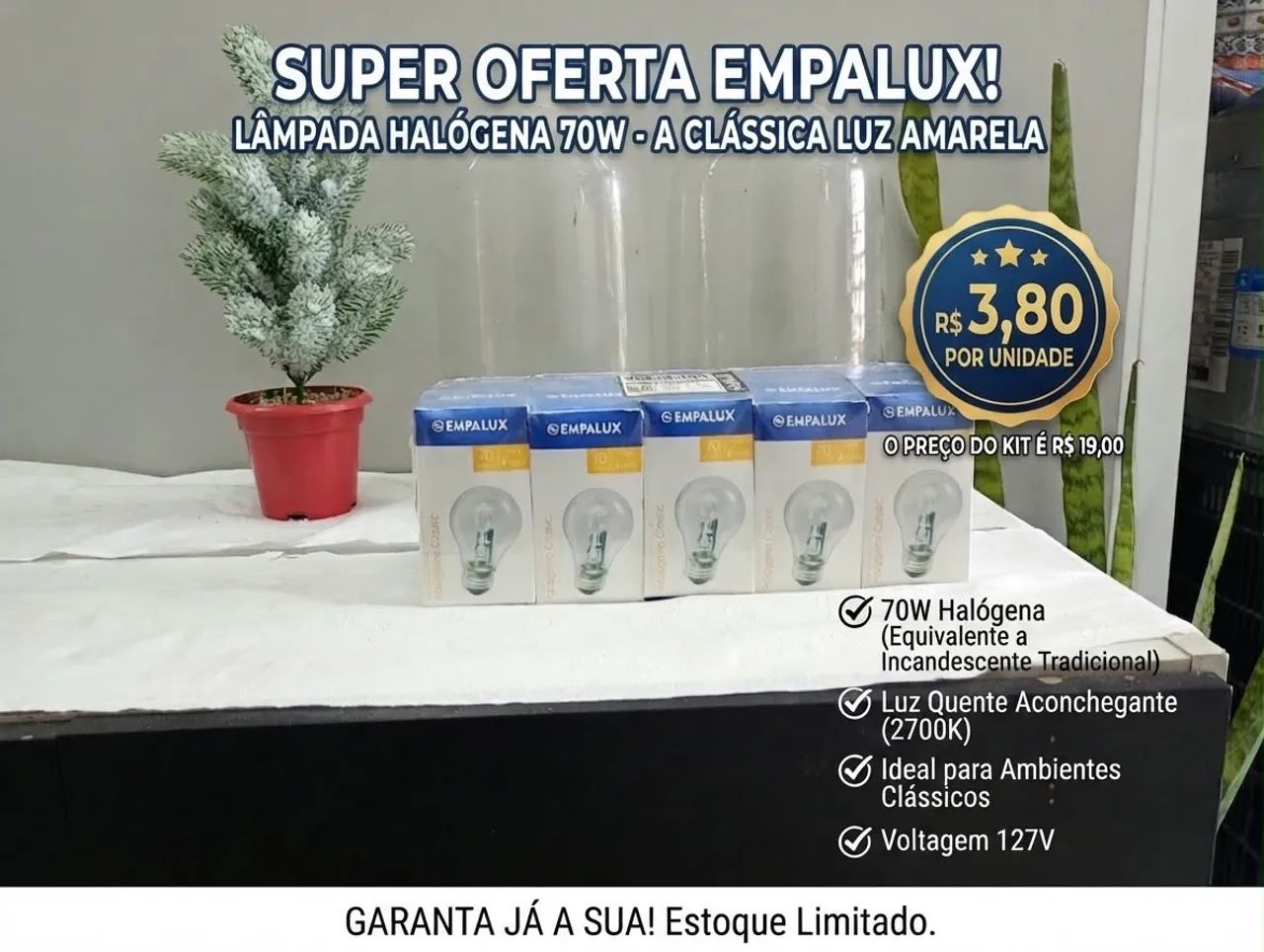 Lâmpadas 