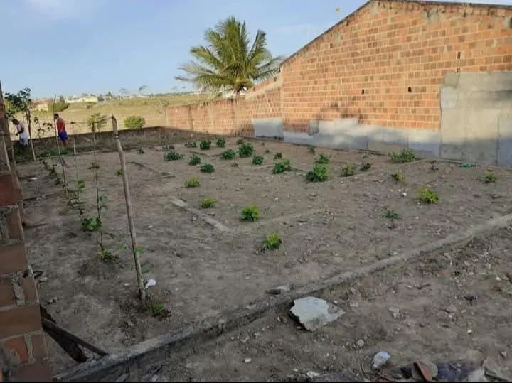 TERRENO NA P.FRANCO  - Foto 2