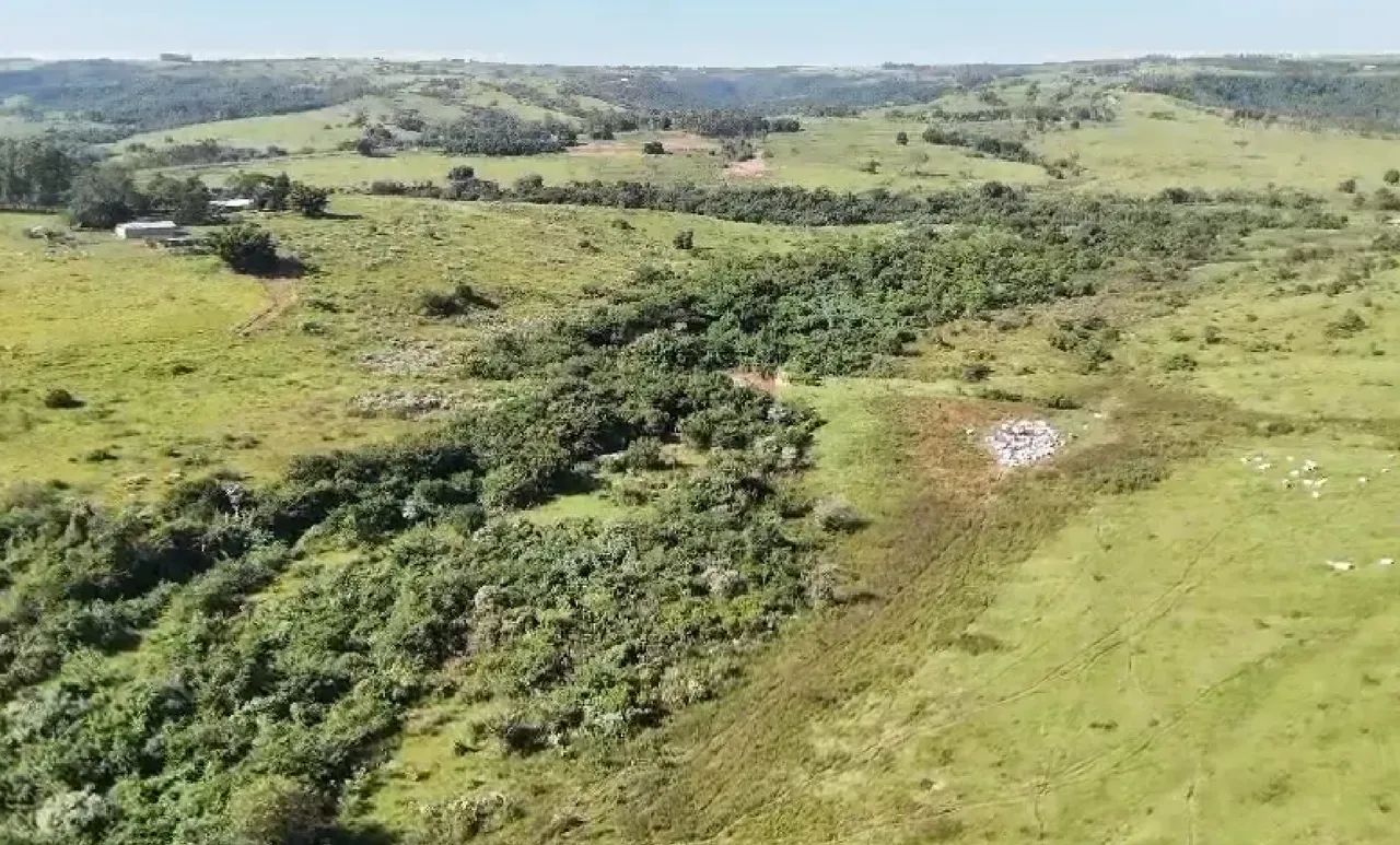 Fazenda a venda em SP. CENTRO OESTE. - Foto 2
