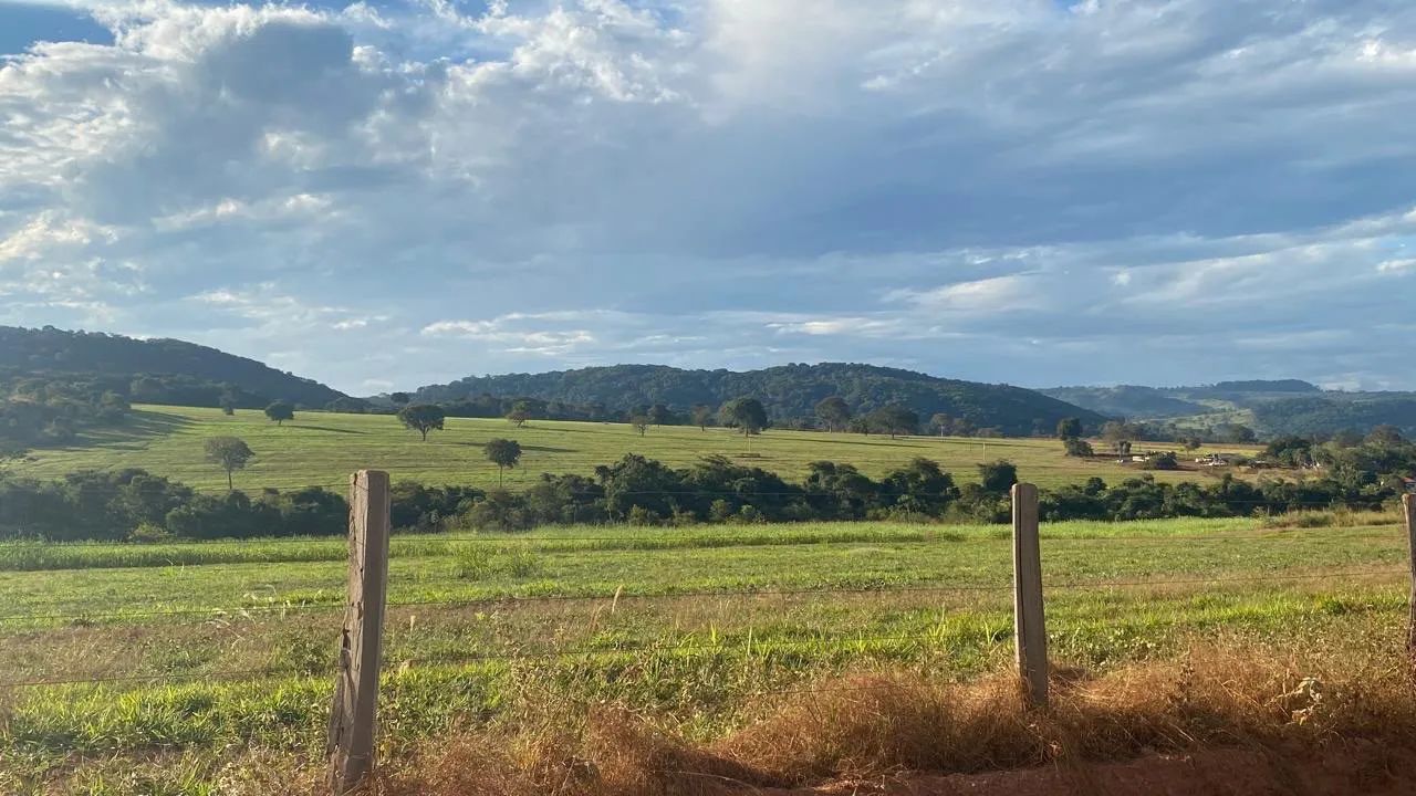Fazenda à venda Cezarina -Go - Foto 3