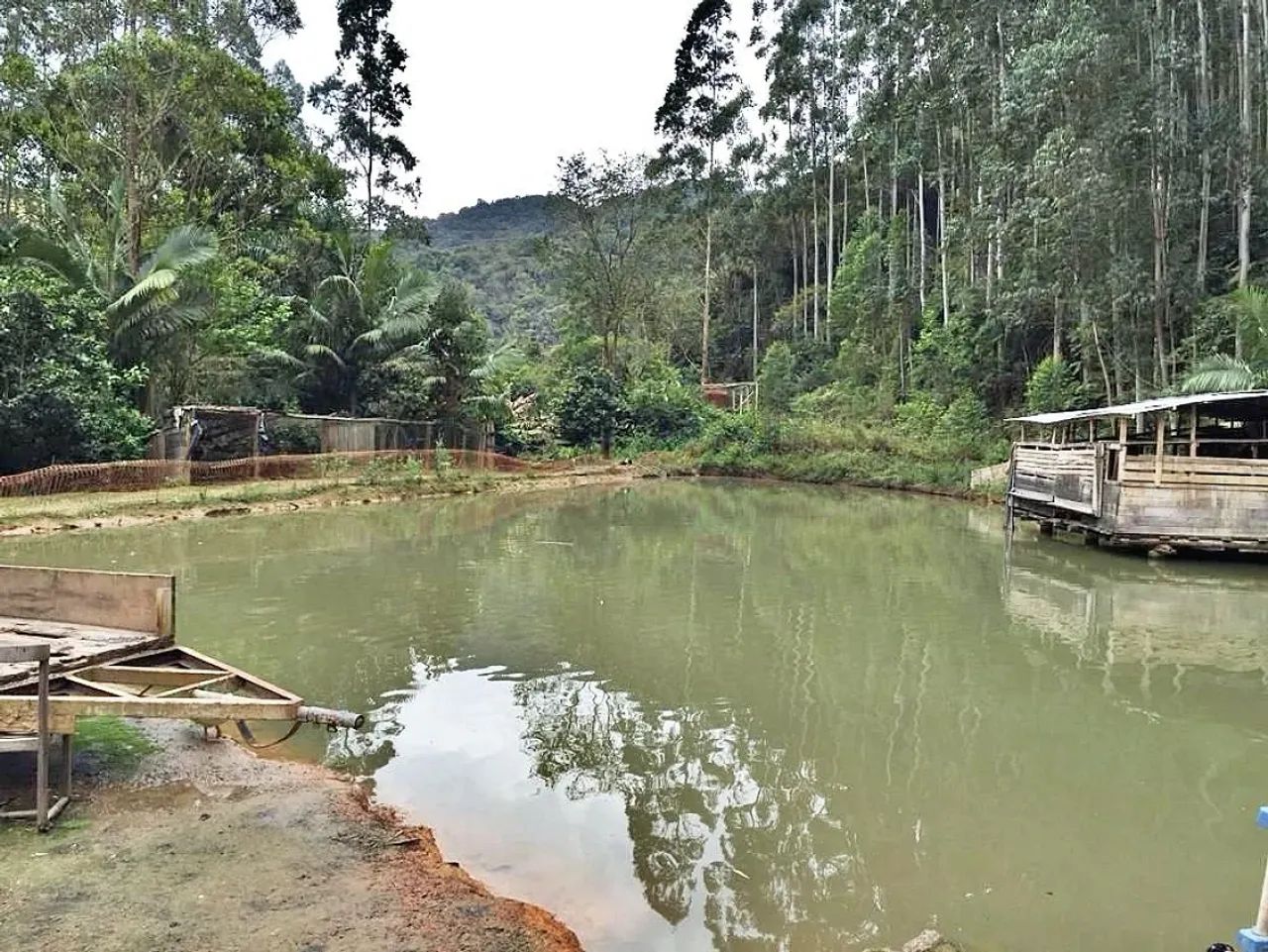 SÍTIO 5 Quartos, 15 Hectares, Açude - São Bonifácio - Foto 2