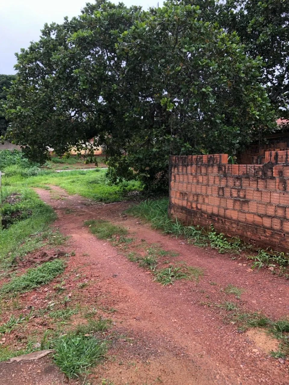 Vendo um lote . - Foto 3