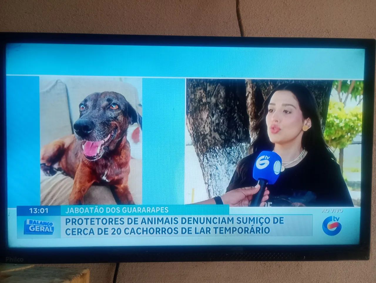 Vendo tv Philco 24 polegadas e celular Samsung  - Foto 4