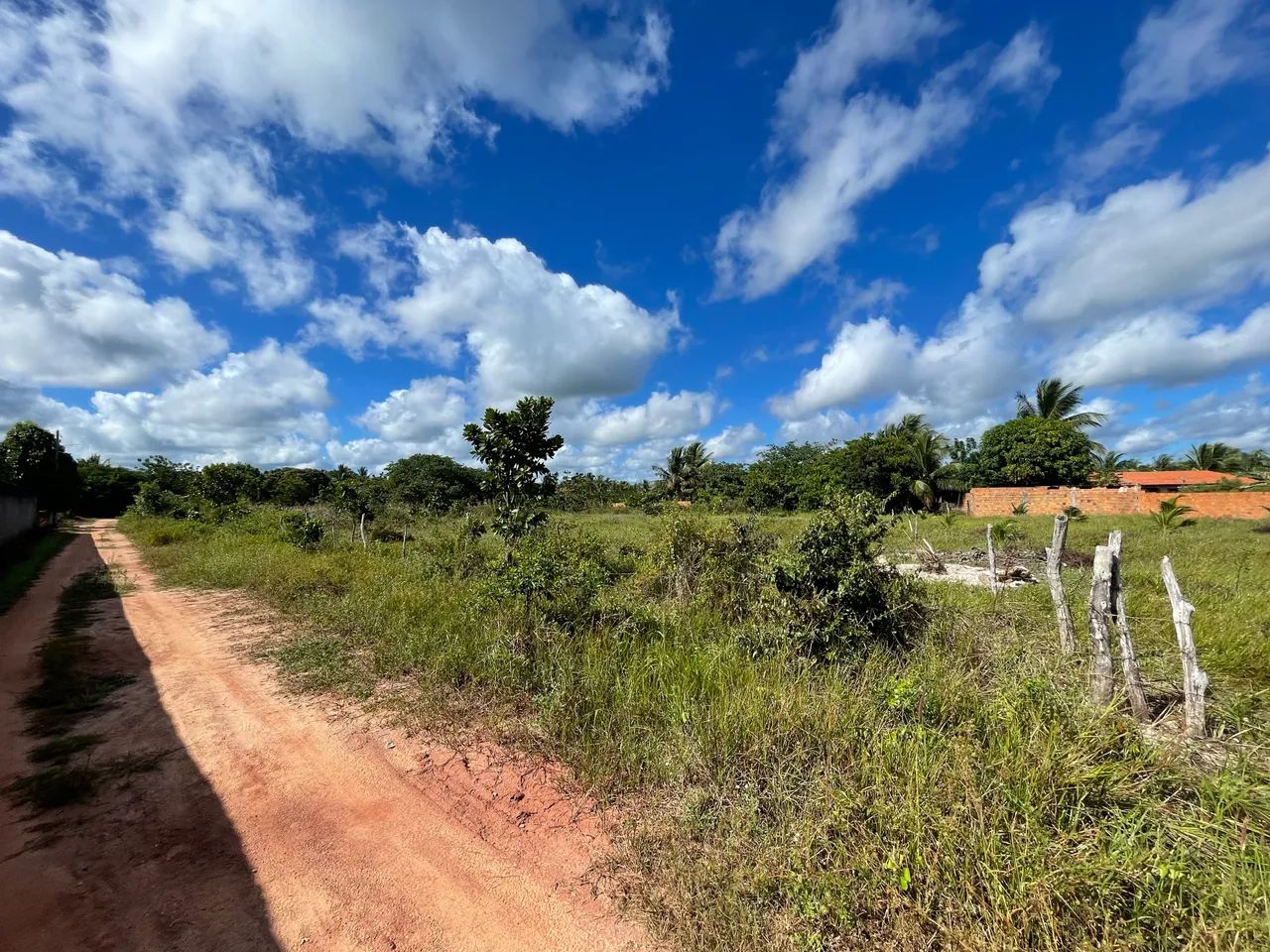 Alugo terreno Em Itarema, próximo a CE085 - Foto 4
