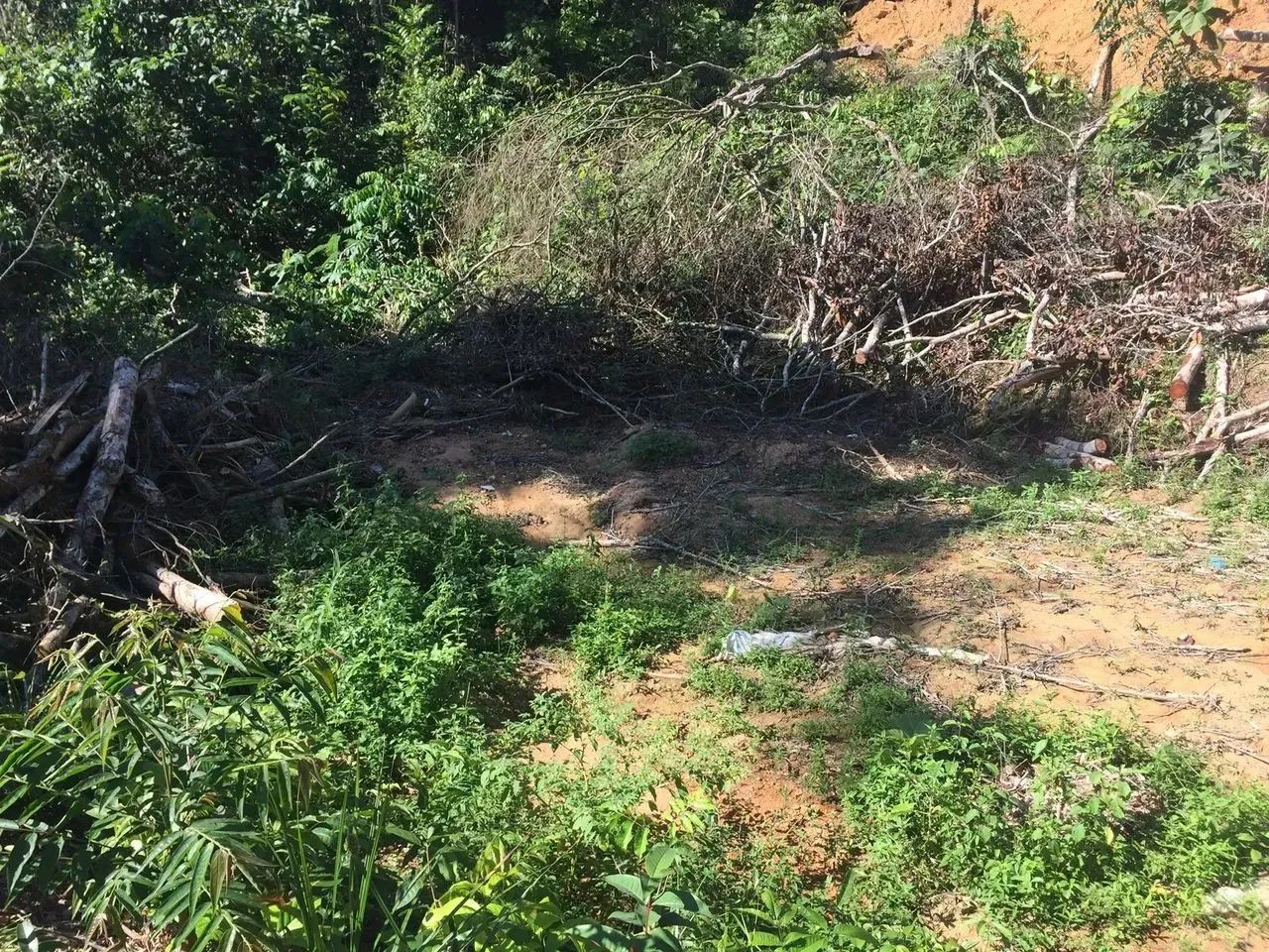 ...Vendo lote na estrada do cetur . - Foto 2