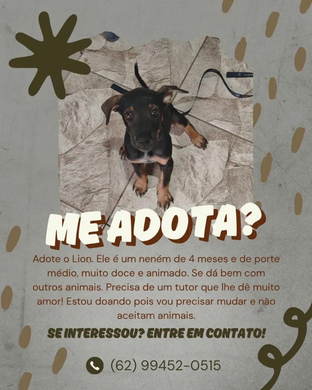 Adoção responsável 