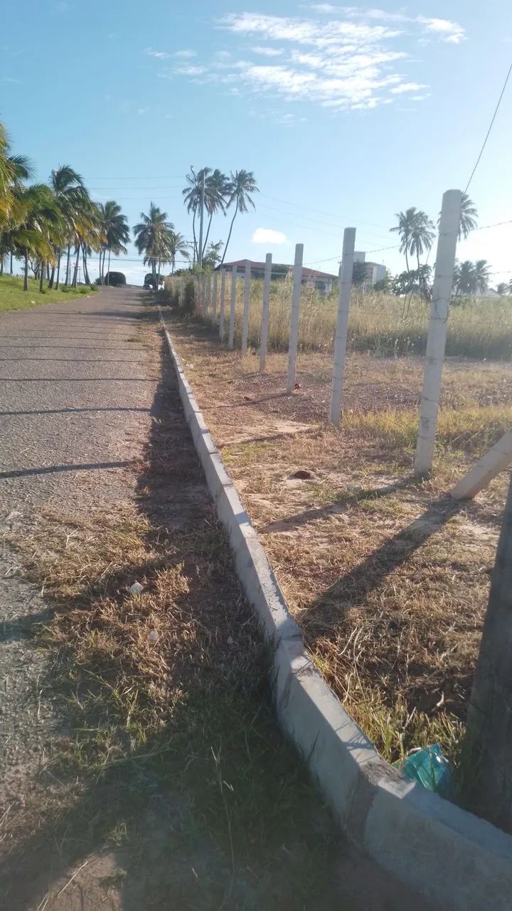 Serviços  de limpeza  - Foto 2