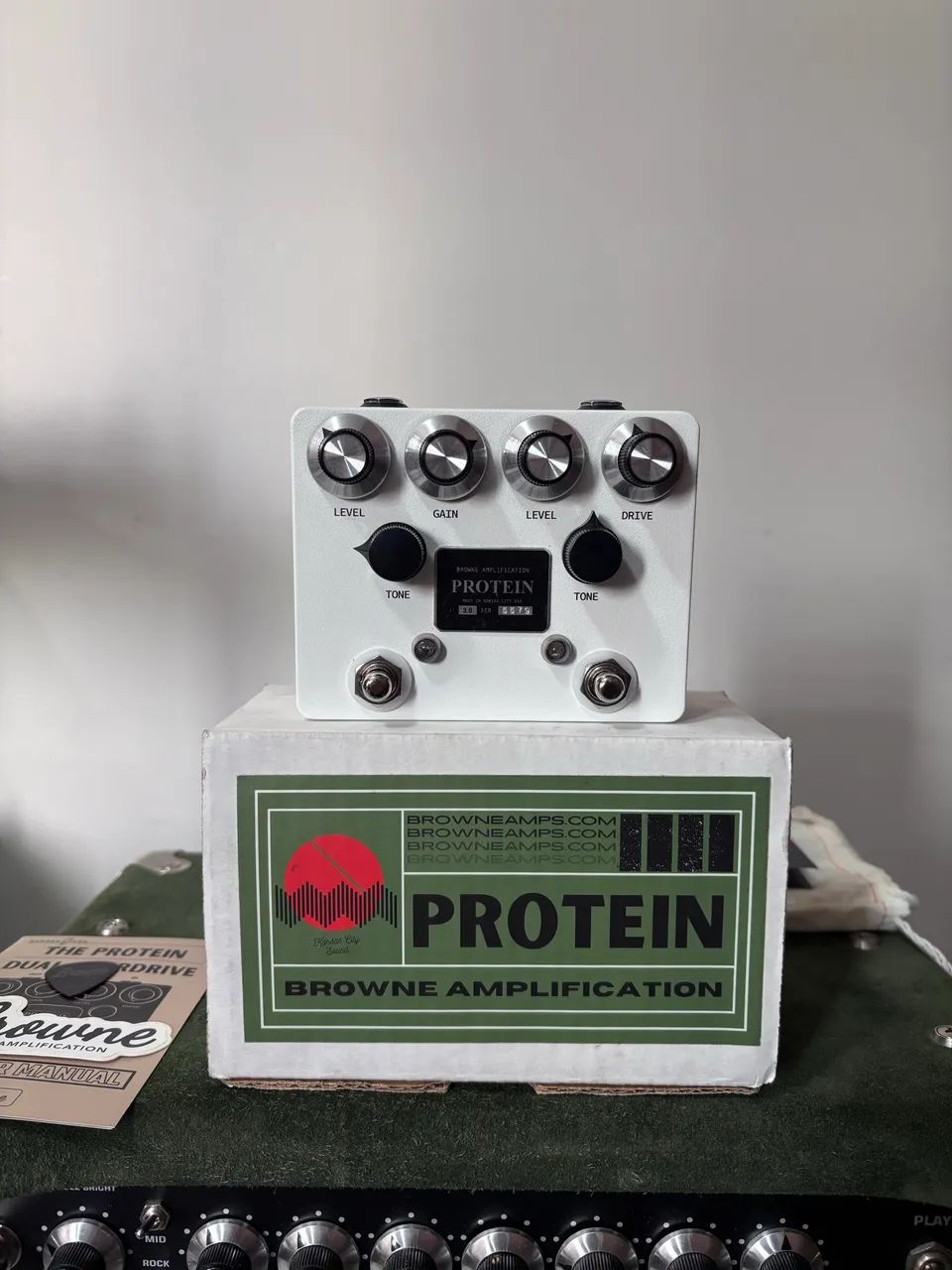 Brownie Amplification Protein v3