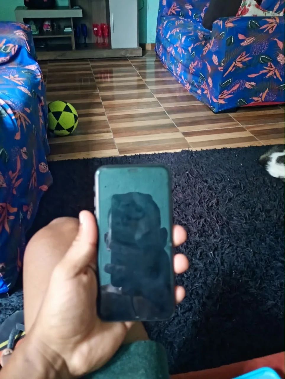 ?PRA VENDER LOGO IPHONE 11? - Foto 2