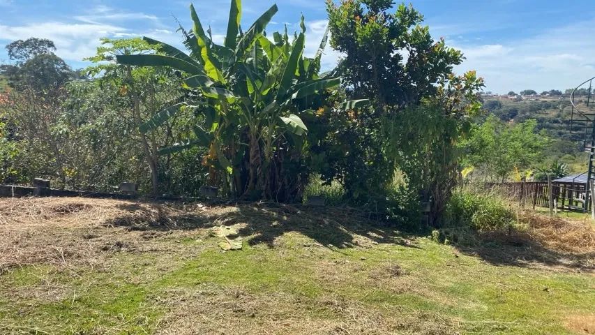CHACARA CORUMBA 4 EM ALEXANIA - Foto 2