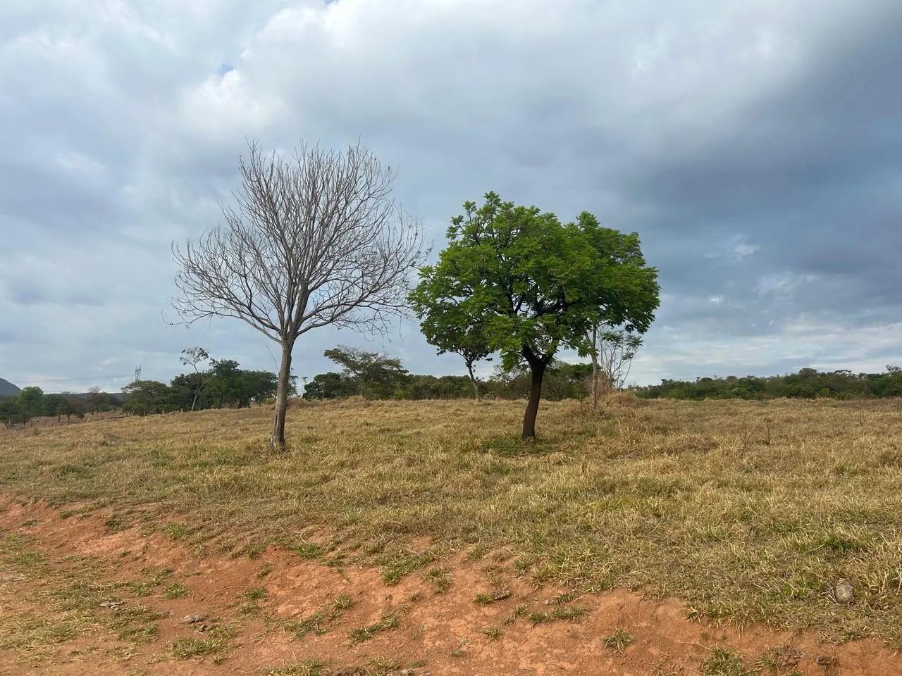 Foto - Ibirité - Déa Marly