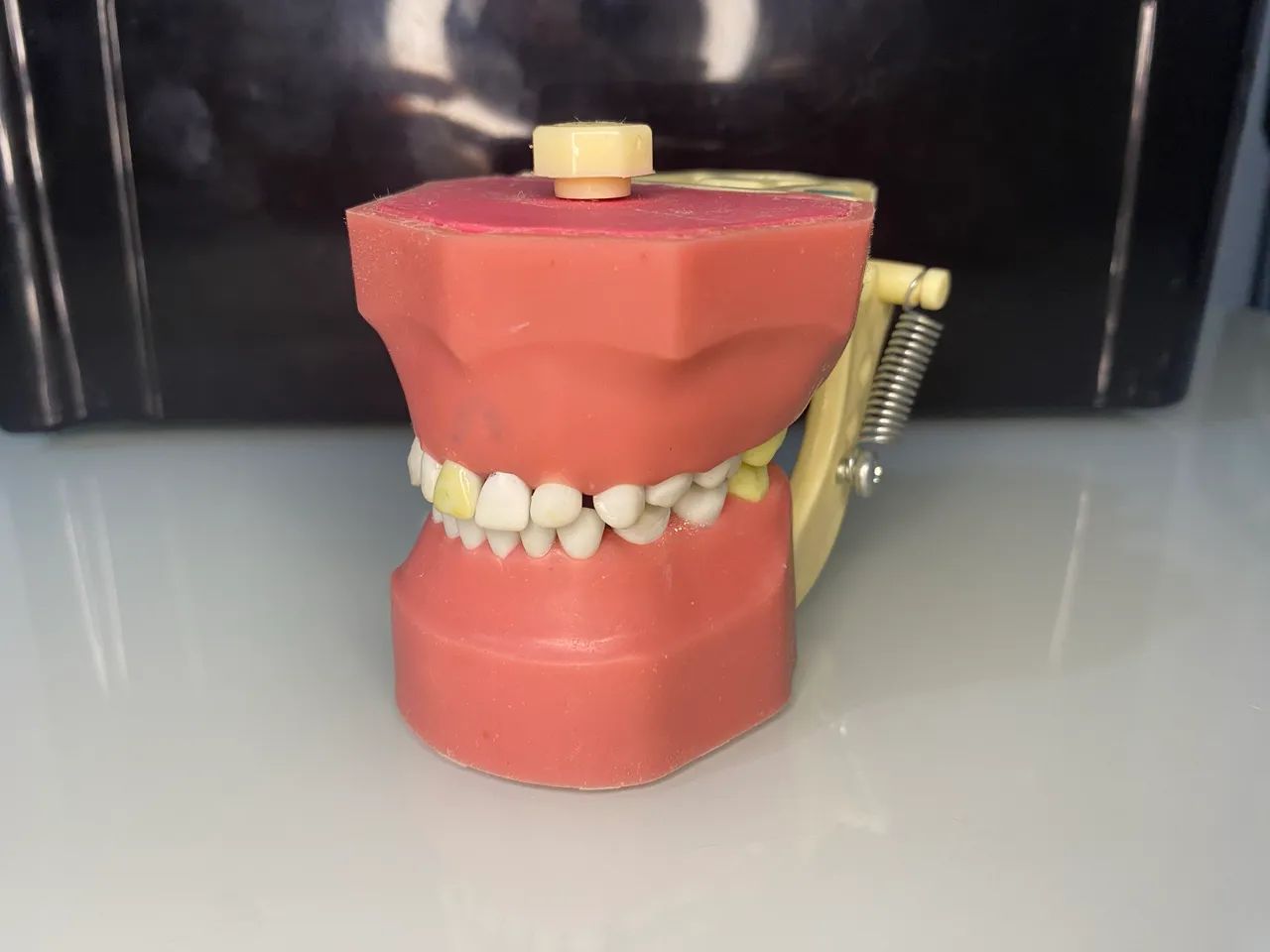 Manequim Odontopediatria  - Foto 3