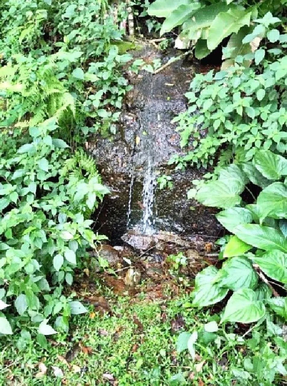 SÍTIO 5 Quartos, 15 Hectares, Açude - São Bonifácio - Foto 3