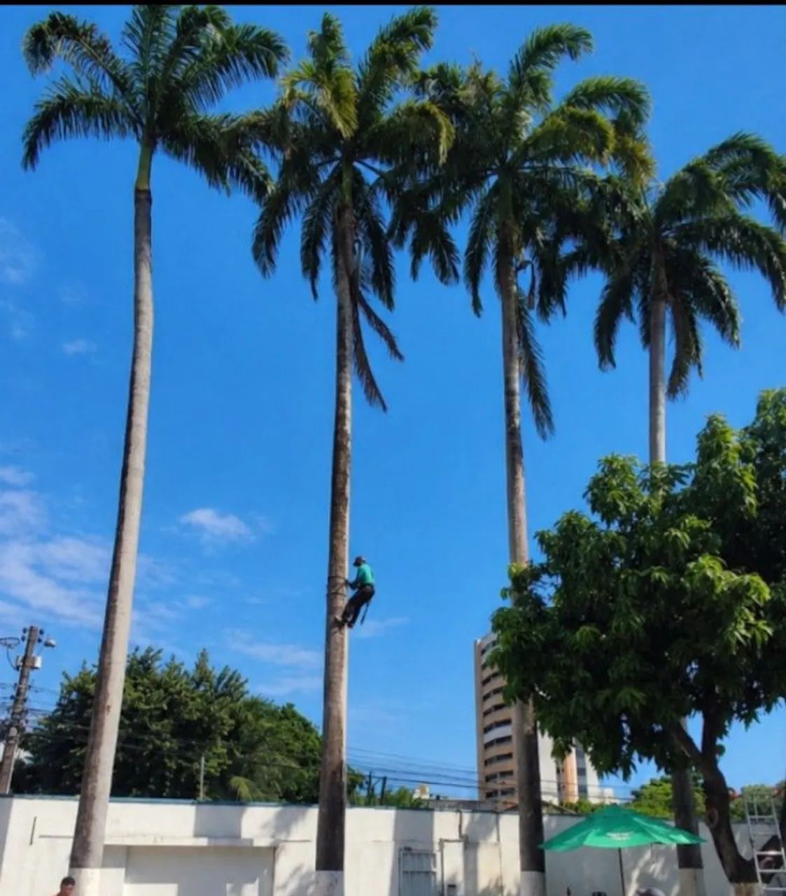 Empresa de Prestação de serviços. - Foto 2