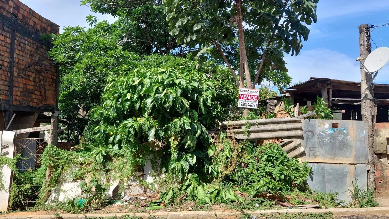 VENDO TERRENO NA ITINGA 250 M²  JD TARUMÃ - Foto 4