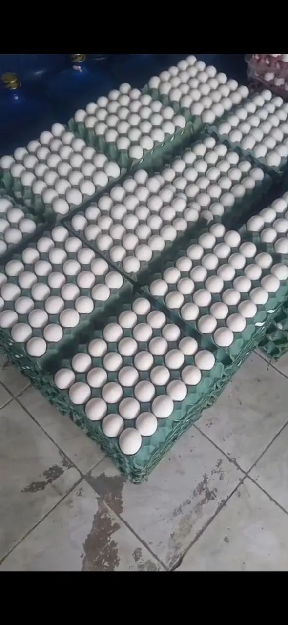 Ovos extra 