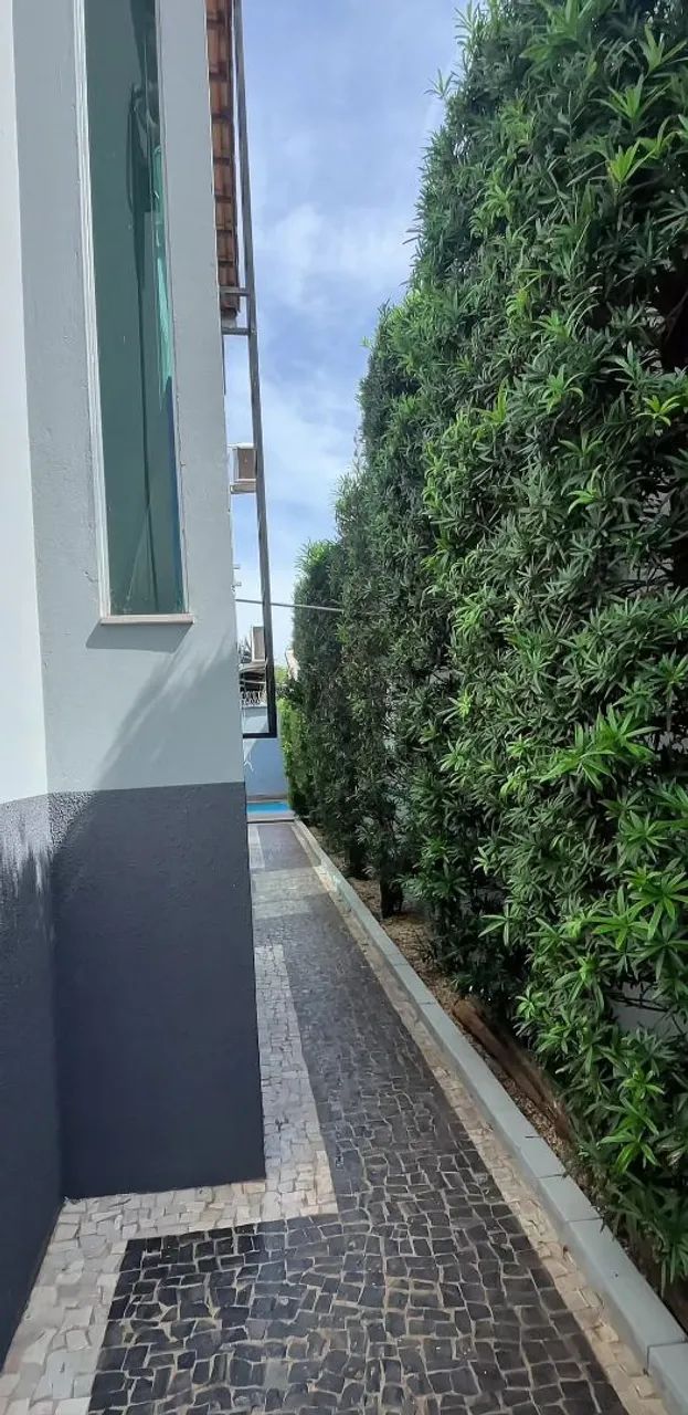 Pintor profissional  - Foto 4