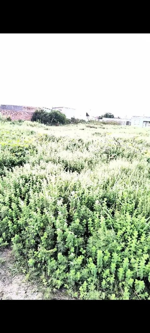 Foto - Rio Grande - Parque Residencial São Pedro