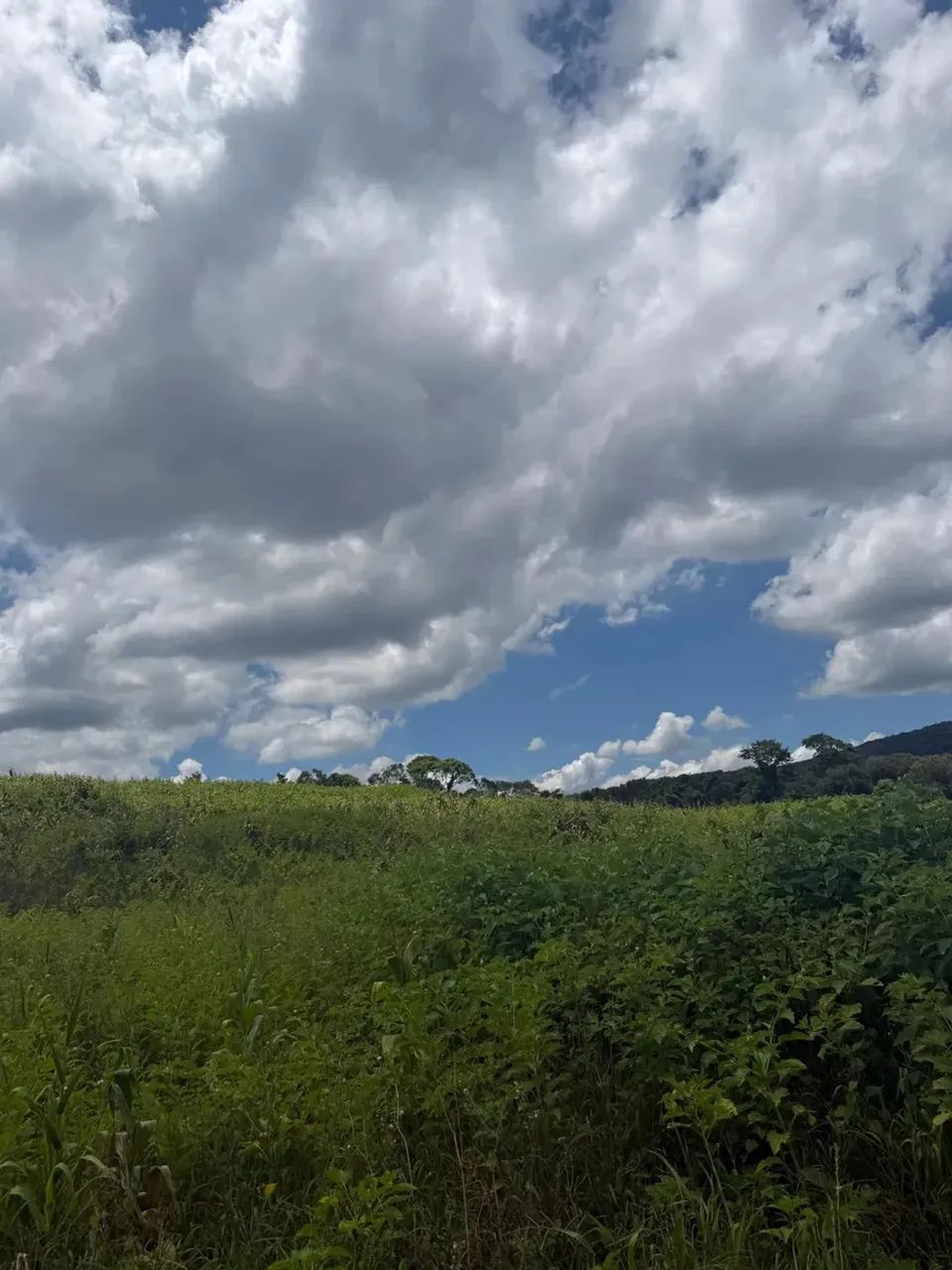 Lotes para venda possui 1000 metros quadrados em Colégio - Ibiúna - SP - Foto 6