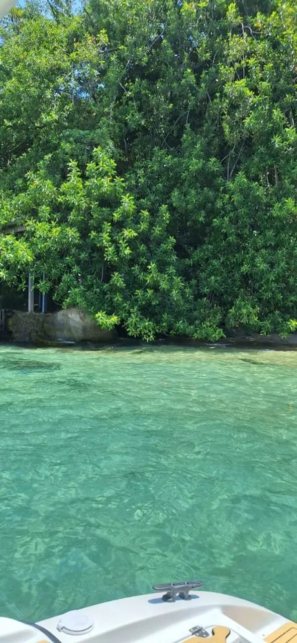     PASSEIO DE LANCHA  - Foto 7