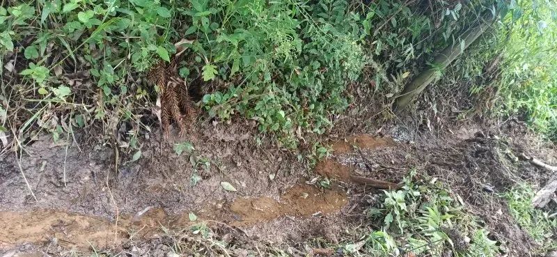SÍTIO NA ESTRADA DO PARAIBUNA EM CUNHA-SP - Foto 3
