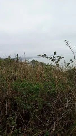 BÚZIOS - Terreno Padrão - RASA - Foto 3