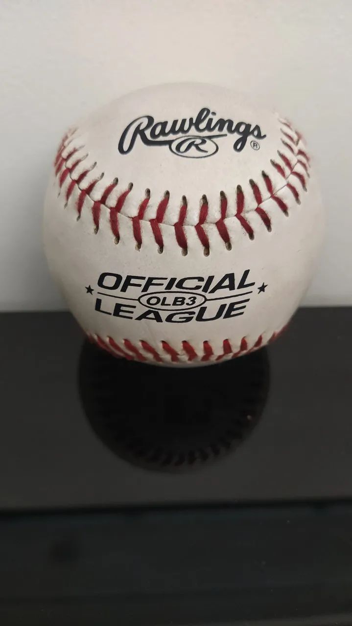 Bola Baseball Rawlings