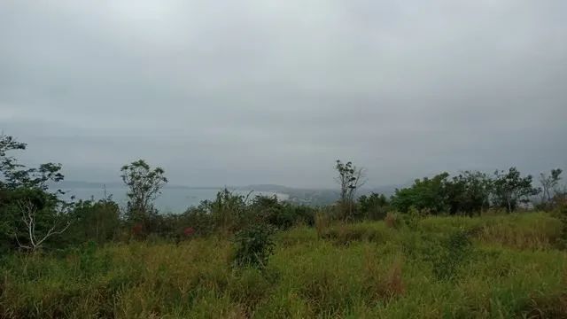 BÚZIOS - Terreno Padrão - RASA - Foto 4