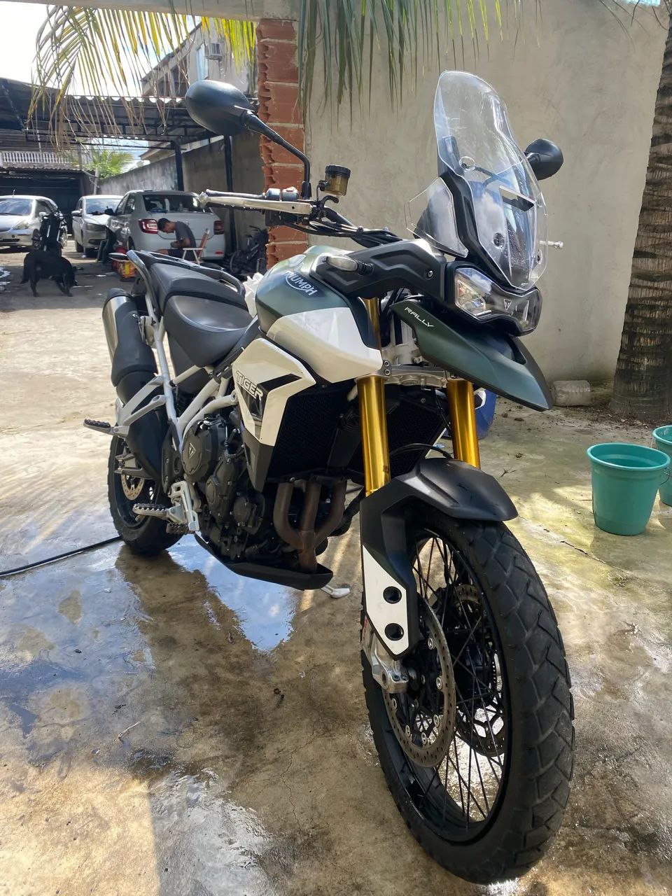 Tiger 900
