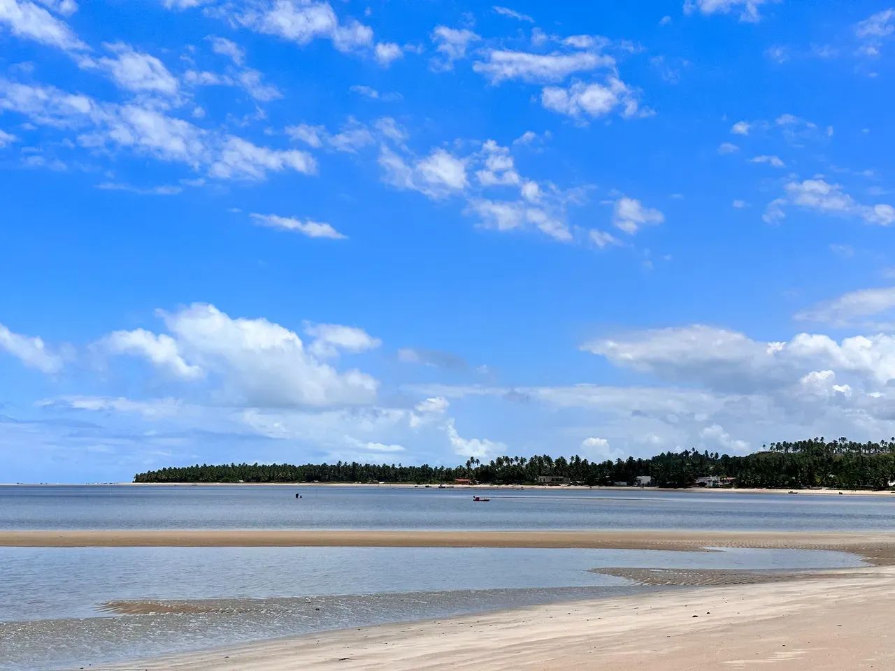 Japaratinga. Área com 8 hectares (80mil metros quadrados), Litoral Nortee - Foto 12
