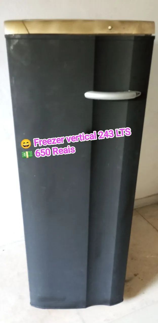 Freezer vertical 243 litros 