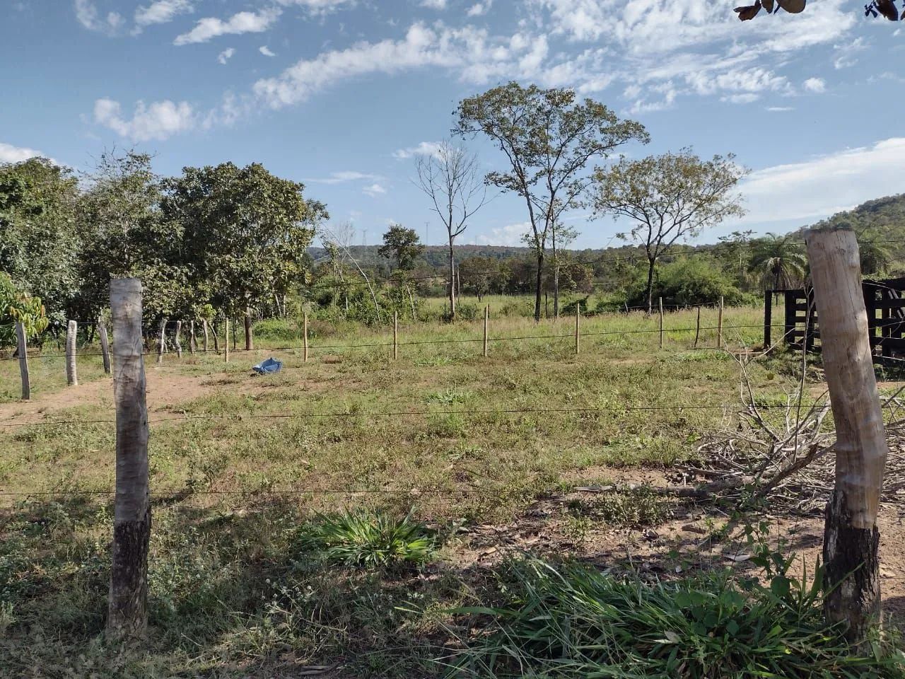 Venda Chácara Sítio Zona rural TO - Foto 3